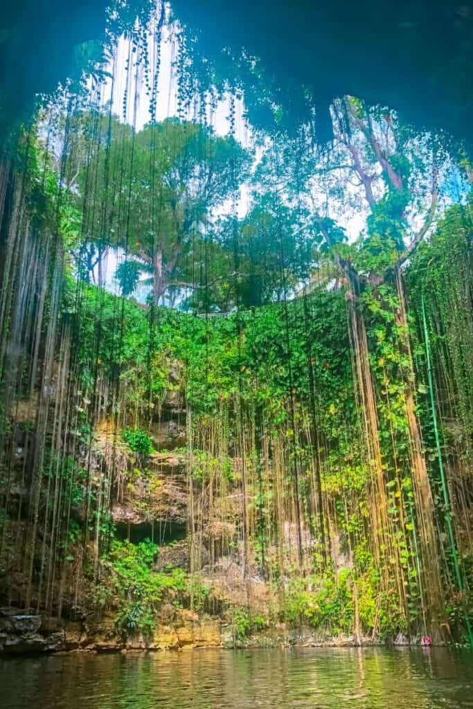 20 Cenotes Near Tulum You Won't Want to Miss