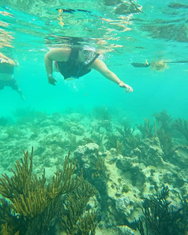 snorkeling in mexico
