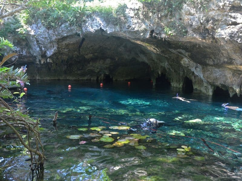 people snorkeling in gran cenote